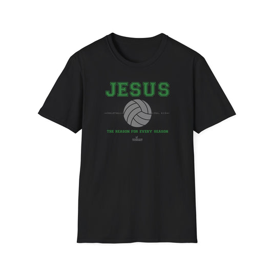 Hero316:  "Reason - Volleyball" - Unisex Softstyle Tee